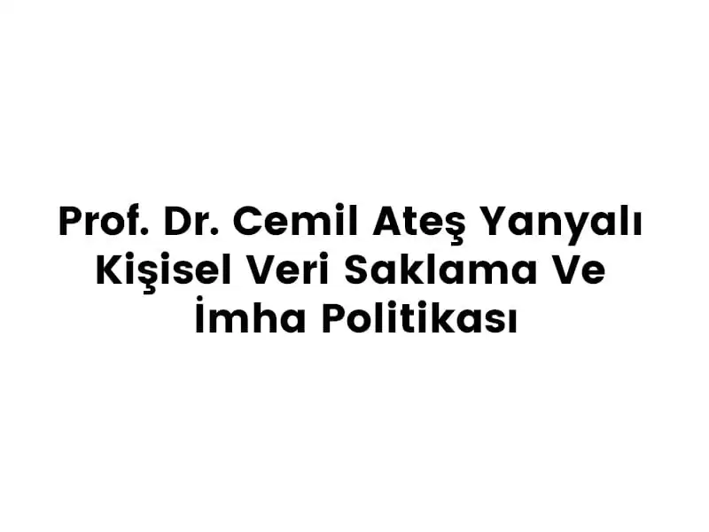 article-image