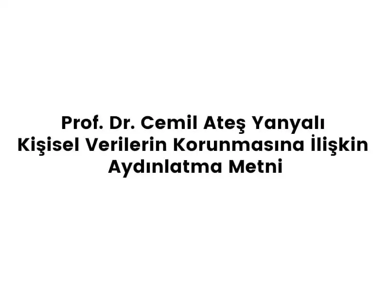 article-image