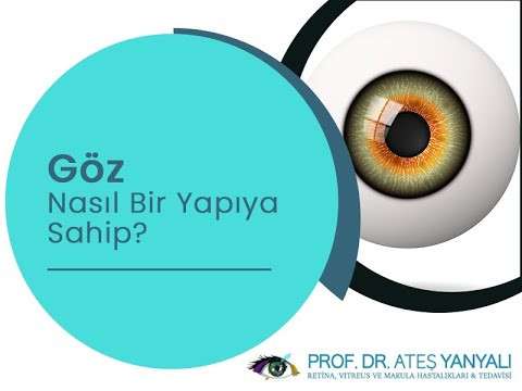 göz,göz hastalıkları,ateş yanyalı,doç dr ateş yanyalı,göz doktoru,göz uzmanı