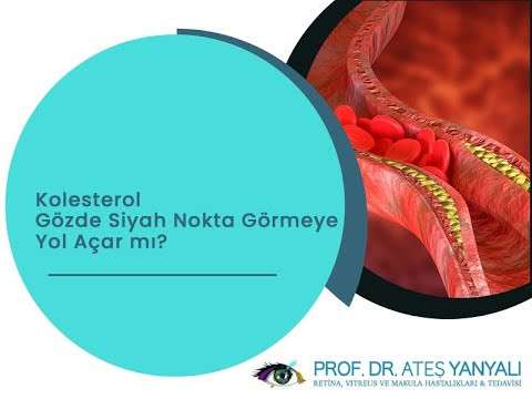 kolesterol,siyah noktalar,ateş yanyalı,doç dr ateş yanyalı