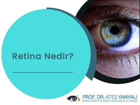 retina,retina nedir,retina tedavisi,istanbul retina tedavisi,retina doktoru,ateş yanyalı,doç dr ateş yanyalı