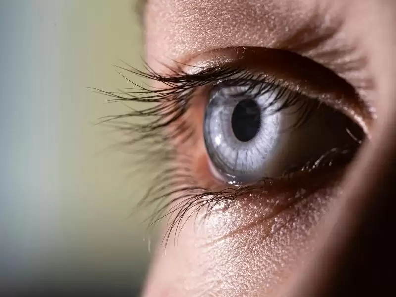 sari-nokta-ve-katarakt